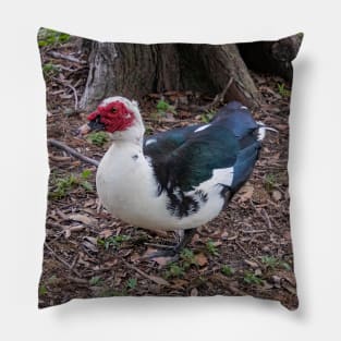 Muscovy Duck Red Black and White Pillow