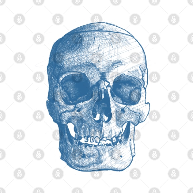 Front Skull Sketch - Blue/Light by Designs by Kat