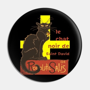 Le Chat Noir De Saint David De Rodolphe Salis Pin