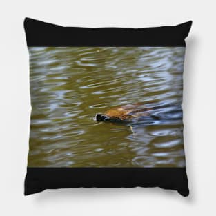 turtle swimming at Trojan pond, near Goble, Oregon Pillow