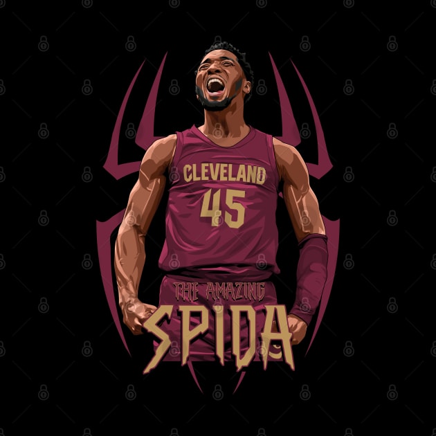 SPIDA by origin illustrations