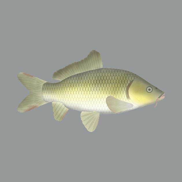 Amur Carp by FishFolkArt