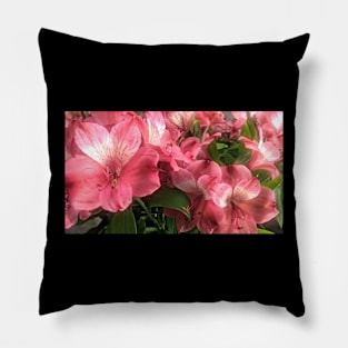 Pretty Pink Flowers Pillow