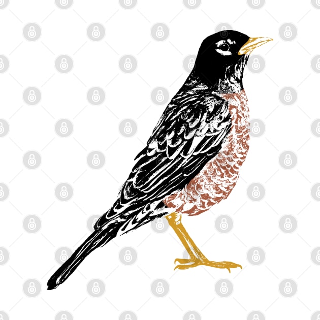 American Robin Litho edit by EmilyBickell