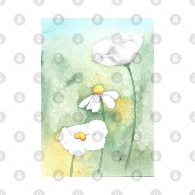 Flatbud Prickly Poppy, watercolor painting by Sharon Rose Art