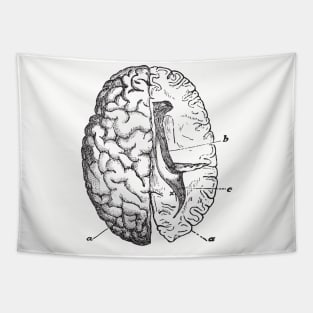 Brain anatomy Tapestry