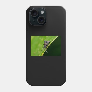 Unique and organic photo of a fungus beetle with a mite on its back Phone Case