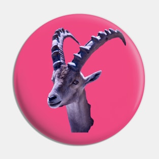 Capricorn Pin