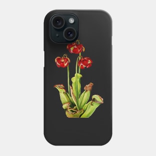 Purple Pitcherplant - Sarracenia Purpurea- Walcott - Botanical Illustration Phone Case