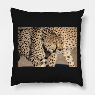 Cheetah. Pillow