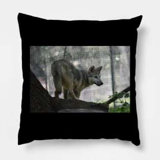 Wolf Pup Pillow