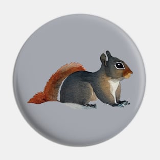 Simple Squirrel in Watercolor Pin