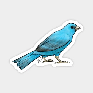 Bird - Canary - Blue Magnet