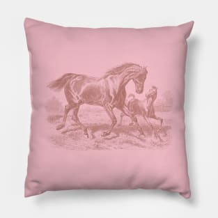 A Mare with a Foal - Horse Illustration Pillow