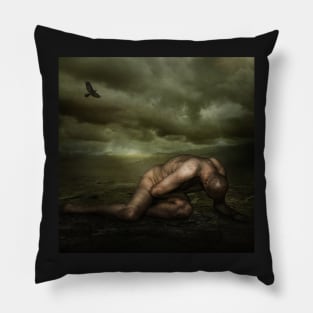 adrift Pillow