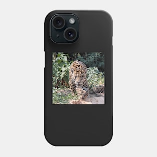 Jaguar on the hunt Phone Case