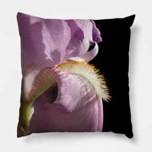 Royal purple iris Pillow