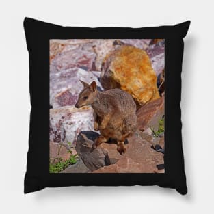 Allied Rock-Wallaby Pillow