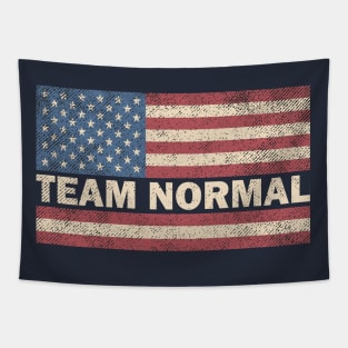 Team Normal USA Flag Tapestry