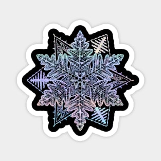 Winter Solstice Magnet