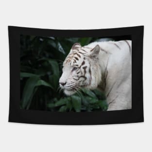 White Tiger Tapestry