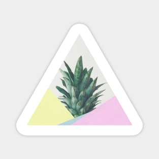 Pineapple Dip V Magnet