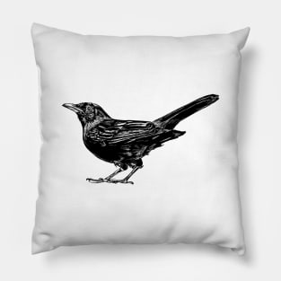 Blackbird Pillow