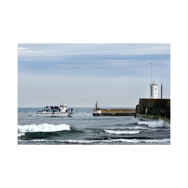 Tour boat returning from the Farne Islands to harbour, Northumberland, UK by richflintphoto