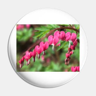 Bleeding Hearts Pin