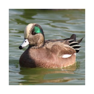 American Wigeon T-Shirt