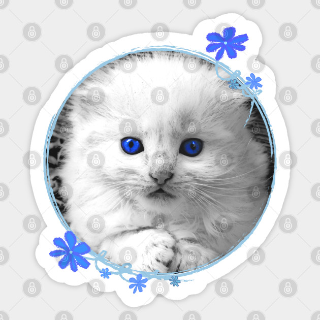 White Kitten Portrait Kitten Sticker Teepublic