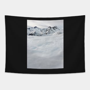 Mountains of Switzerland - White Swiss Alps on Overcast Winter Day Tapestry