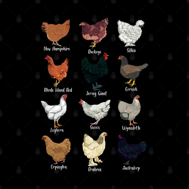 Chickens of the world - types of chickens by Modern Medieval Design