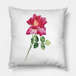 Colorful rose Pillow