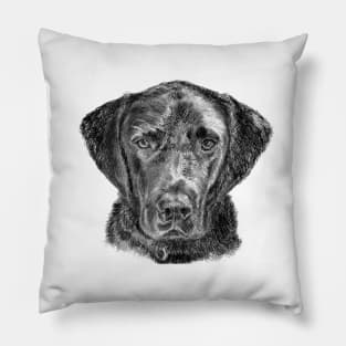 Labrador Pillow