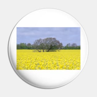 English summer landscape Pin