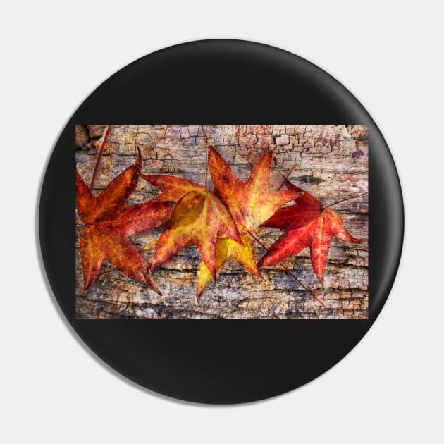 Maple Leaves Pin by mariola5