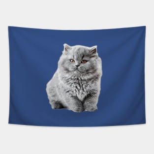 British Shorthair Longhair Cat Kitten Tapestry