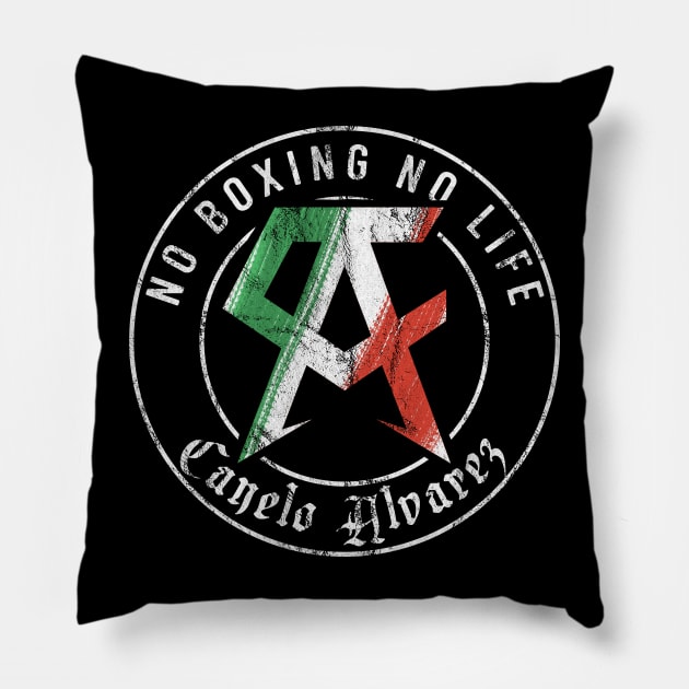 Team Canelo Alvarez Mexico Pillow by RichyTor