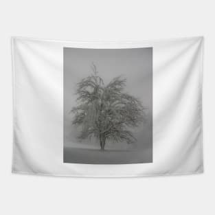 Lone tree in the snow Tapestry