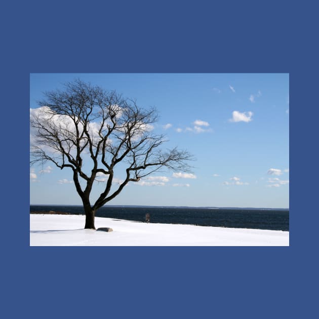 Lonely Winter Beach Scene by Rob Johnson Photography