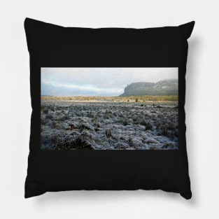 Morning Frost, Mt Oakleigh, The Overland Track Pillow