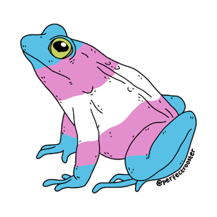 Trans Pride Frog T-Shirt