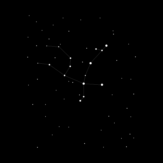 Andromeda Constellation in white by Wild Pack