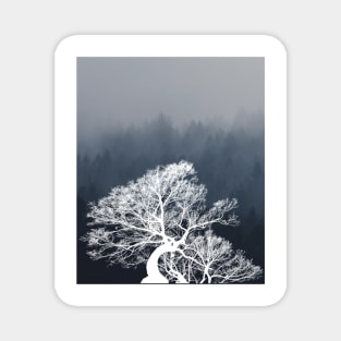 The white Forest Magnet