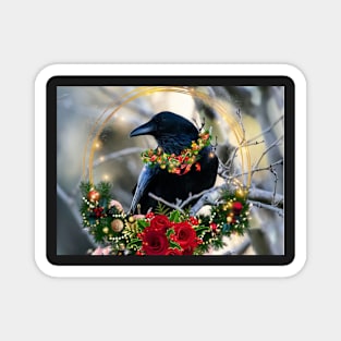 Christmas Crow, raven, winter solstice Magnet