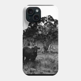 Cattle in the Outback! Phone Case