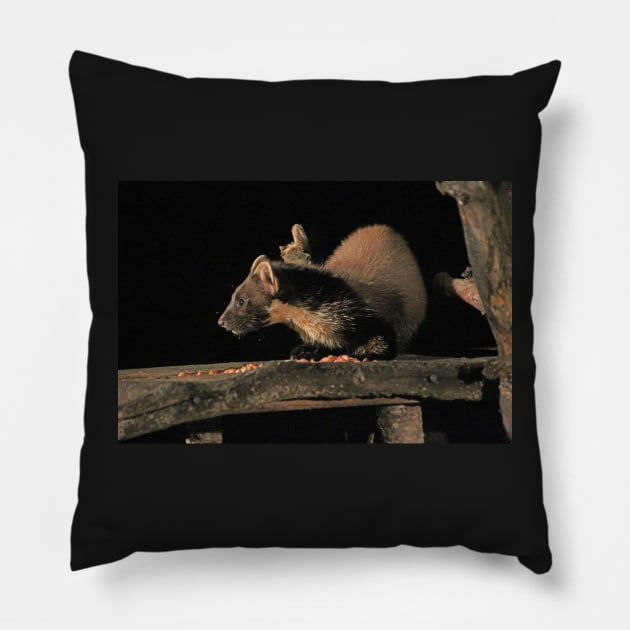 Pine marten Pillow by orcadia