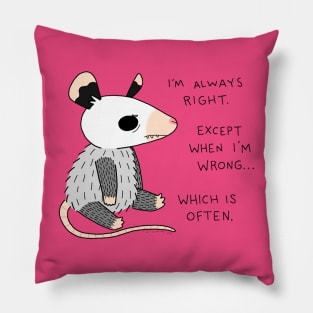 Always Right Pillow