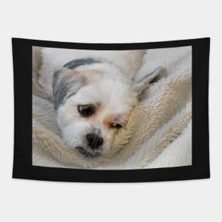 In Deep Dog Thoughts Tapestry